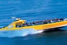 Seadog Speedboat Cruise